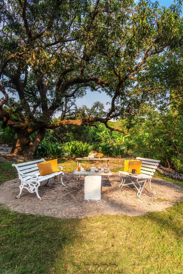Saffronstays Chikoo Wadi- 3Bdr Pet-Friendly Villa With Pool In Boisar Esterno foto
