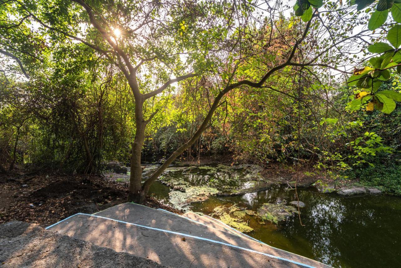 Saffronstays Chikoo Wadi- 3Bdr Pet-Friendly Villa With Pool In Boisar Esterno foto